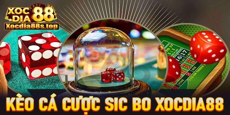 Một số kèo cược sic bo xocdia88 hấp dẫn nhất 2025 